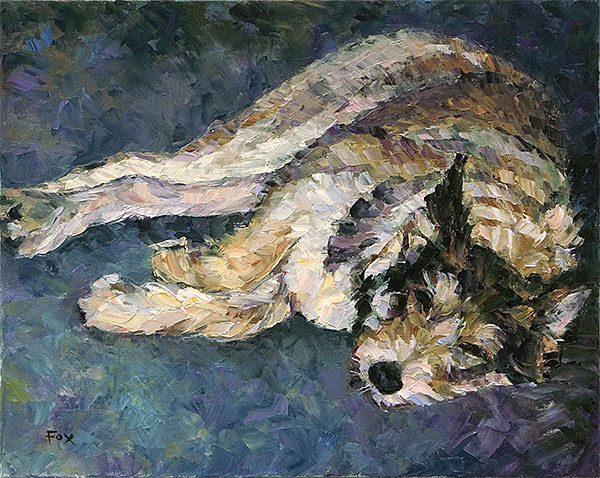 Dog Tired