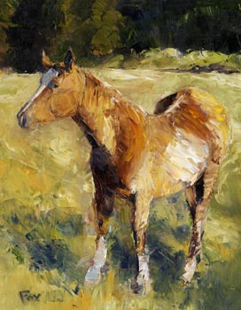 Dutch Creek Attitude