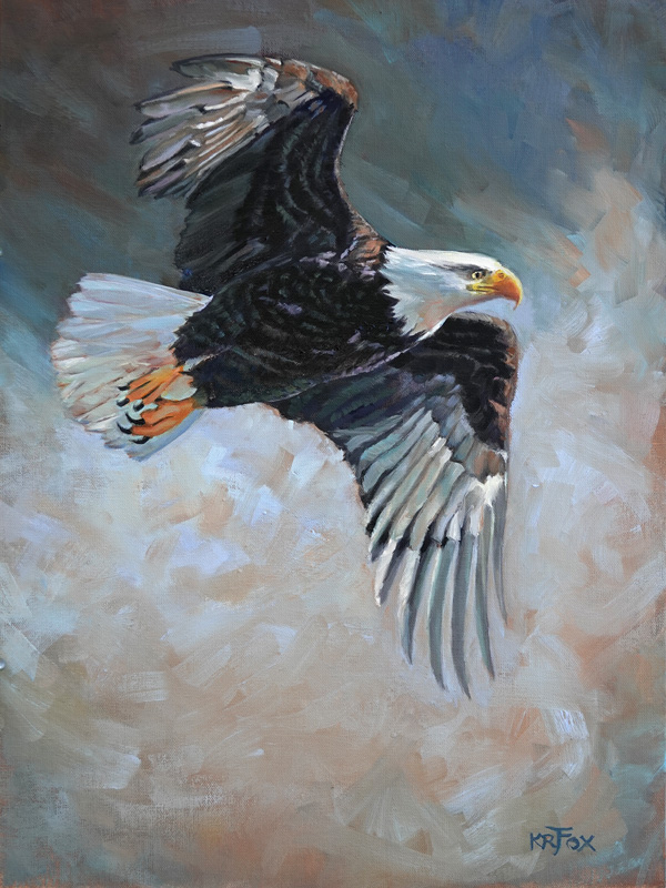 On the Move (Bald Eagle Flying)