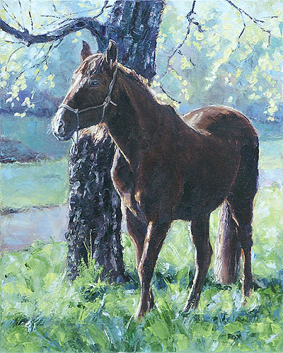 Sailing into the Sun