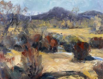 South Platte Panorama