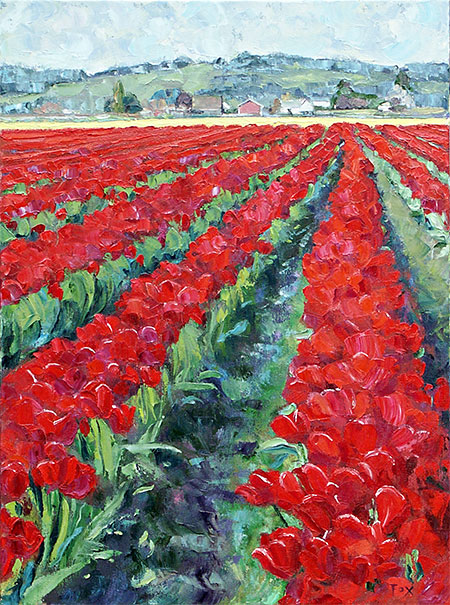 Tulip Field