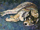 Dog Tired