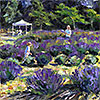 Lavender Festival