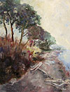 Madronas along the Sound