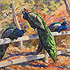 Peacocks Three