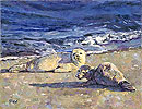 Sunseekers