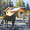 Dutch Creek Ranch Tack Shed