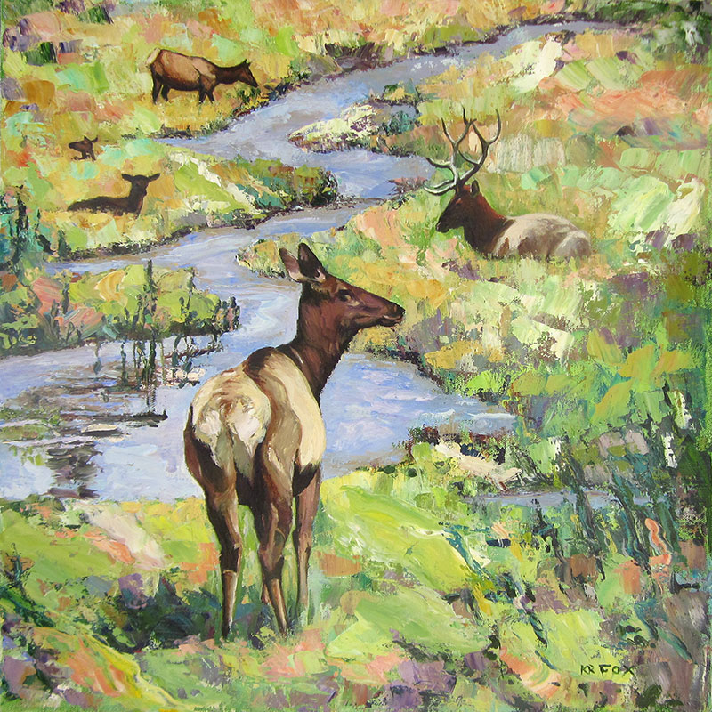 Field Day (Elk at Yellowstone)
