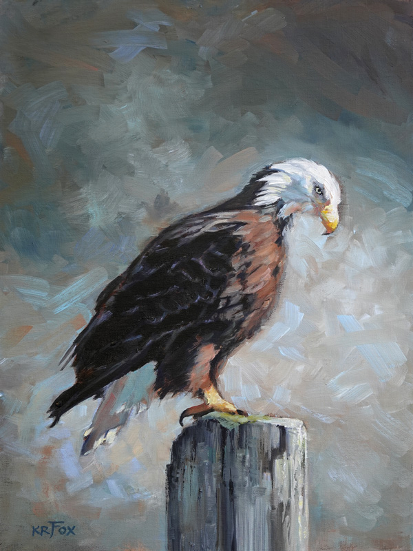 Focused (Bald Eagle on Post)