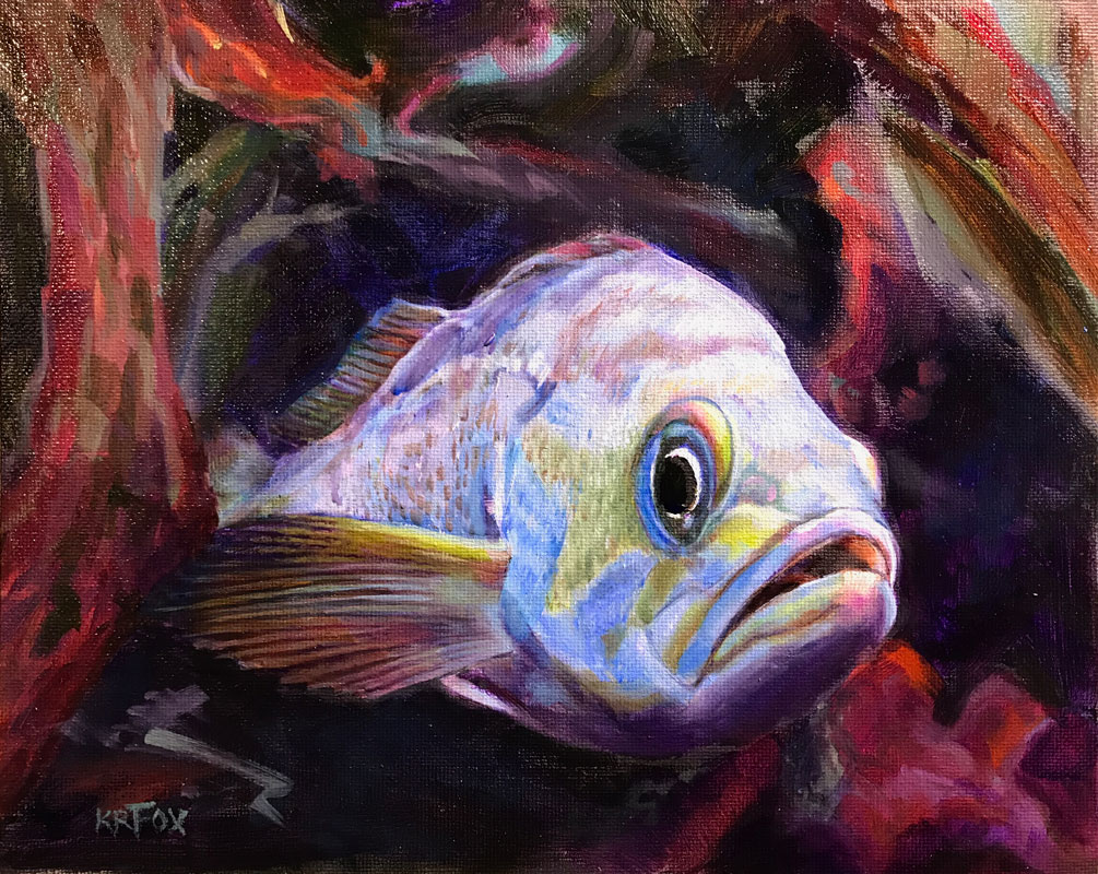 Are You Looking at Me?