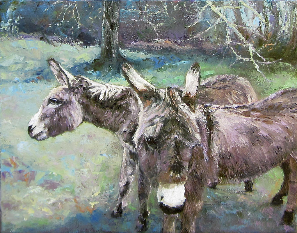 Lindsay's Donkeys