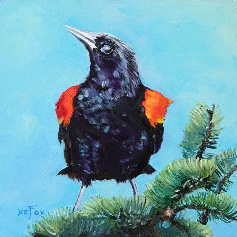 Red-winged Blackbird