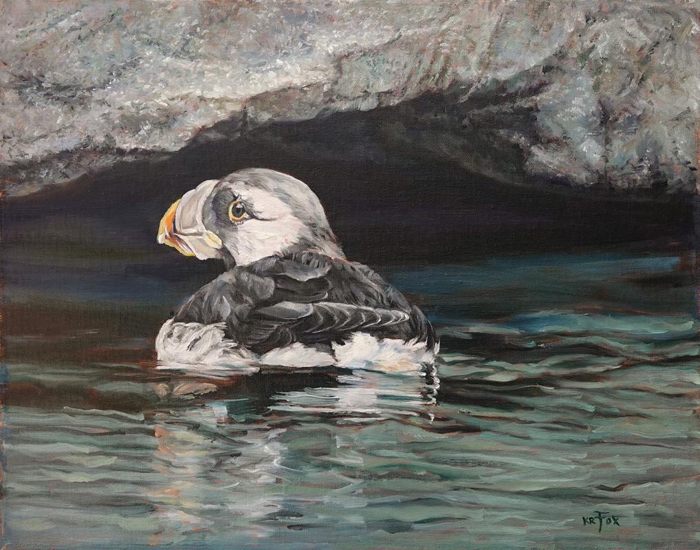Safe Harbor (Puffin)