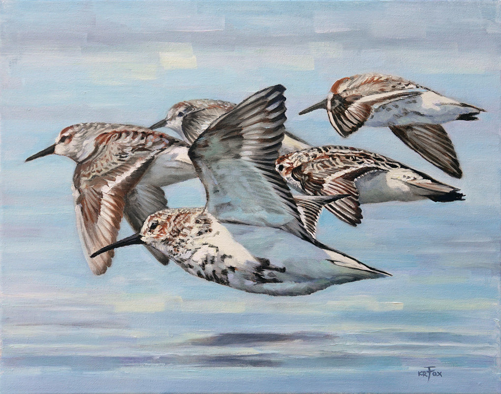 Sandpiper Formation